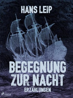 cover image of Begegnung zur Nacht